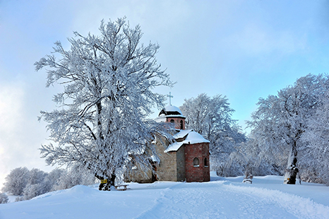 Пониква